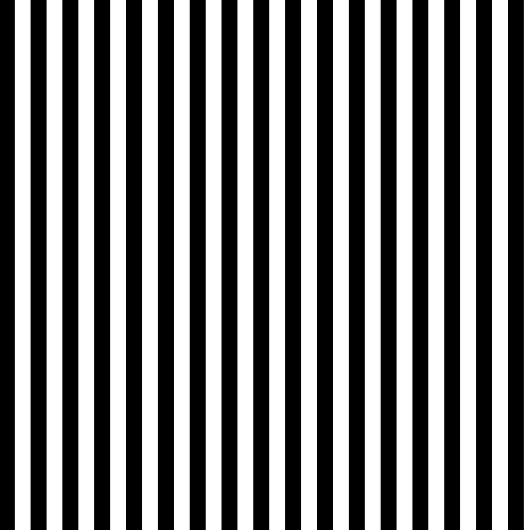 Vertical Stripe Print